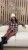 IMG_2943.jpeg
